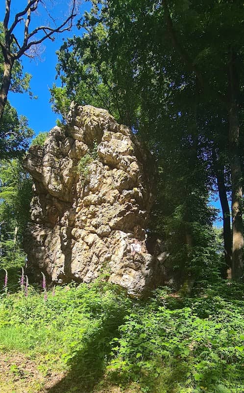 Graue Lei - Image 1