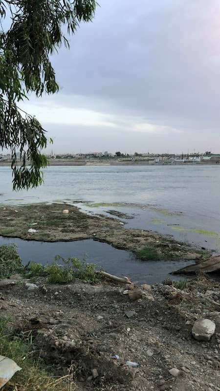 غابات الموصل - Image 1