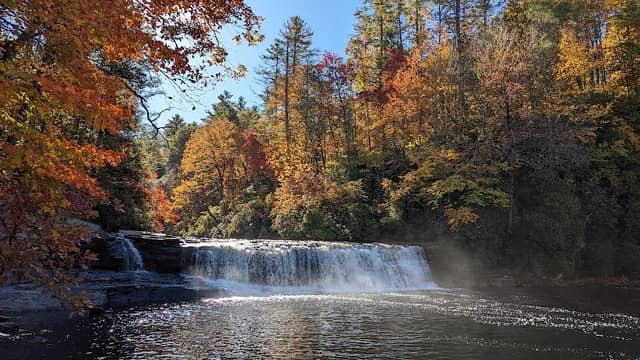 DuPont State Recreational Forest - Image 3