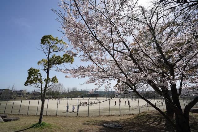 Kitatani Park - Image 1