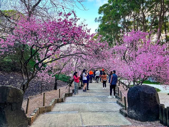 Auburn Botanic Gardens - Image 1