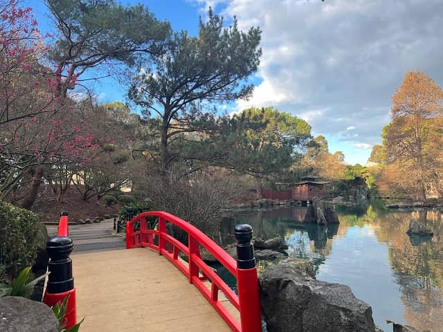 Auburn Botanic Gardens - Image 2