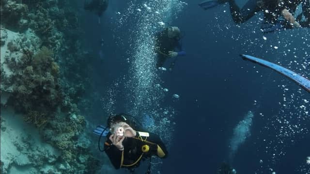 Mykonos VIP Underwater Activities - Image 1