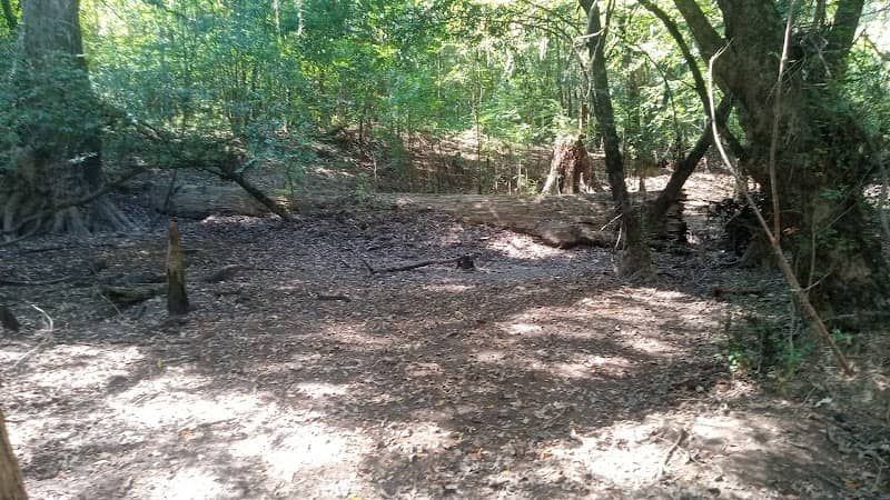 Log on hill - Image 1