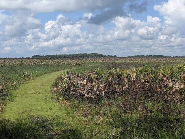 Kissimmee Prairie Preserve State Park - Image 3
