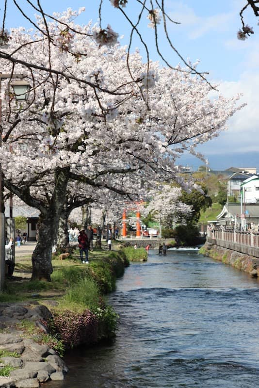 神田川ふれあい広場 - Image 2
