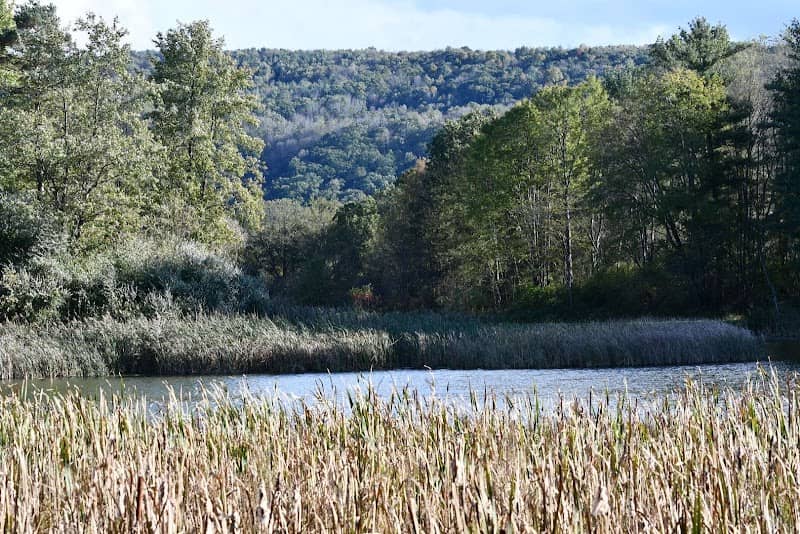 Carantouan Greenway Wildwood Nature Reserve - Image 1