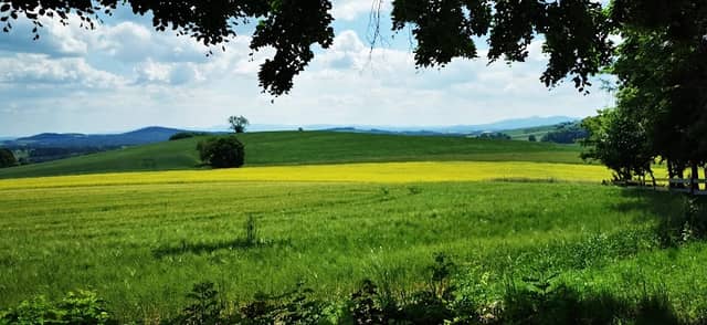 Beckenberg - Image 2