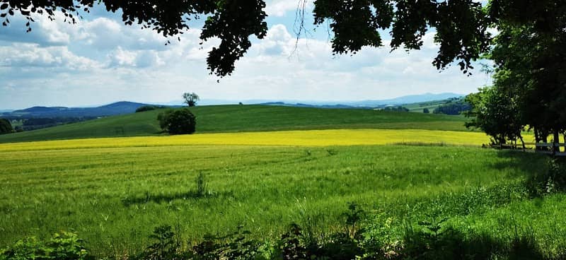 Beckenberg - Image 2