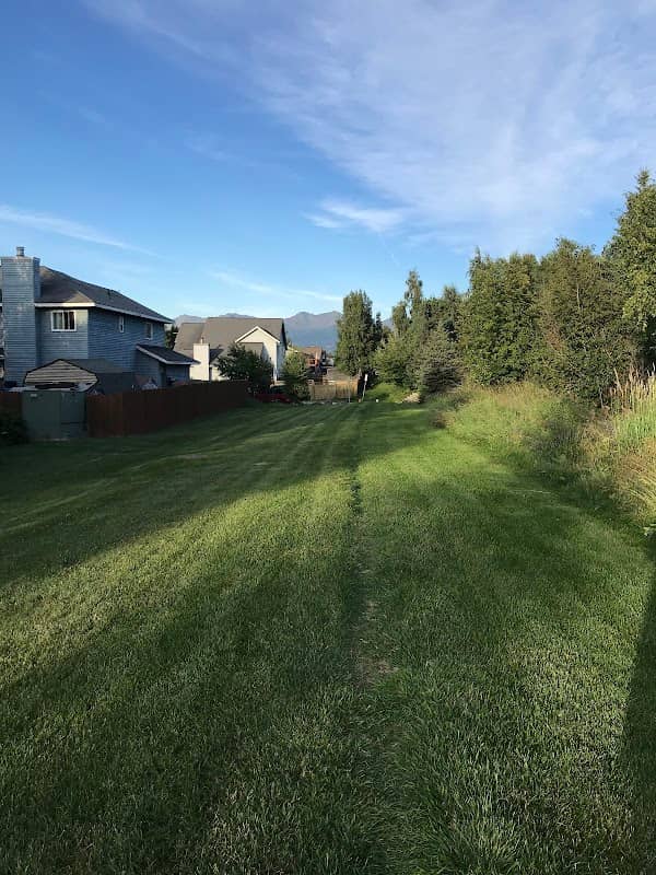 Emerald Carpet Park - Image 1