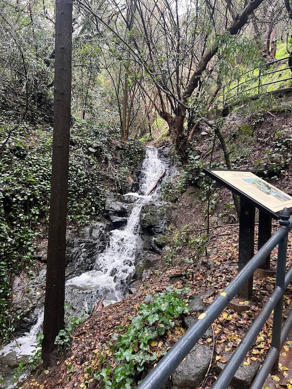 Bushy Dell Creek - Image 2