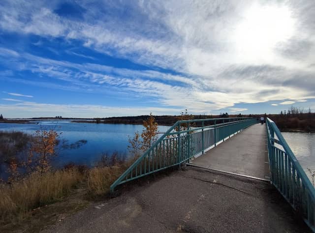 Weaselhead, North Glenmore Park - Image 3