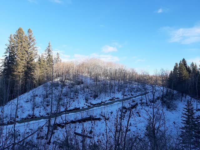Weaselhead, North Glenmore Park - Image 2