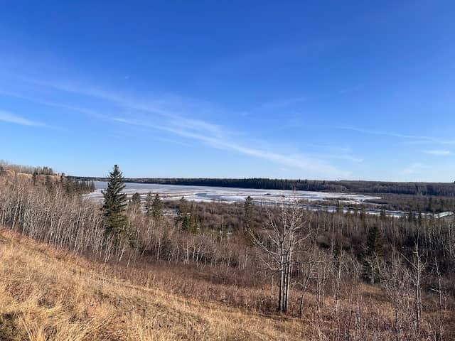 Weaselhead, North Glenmore Park - Image 1