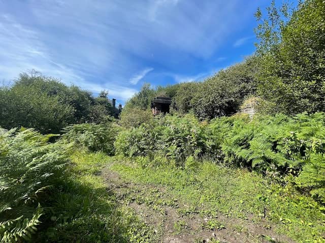 Partington Nature Reserve - Image 1