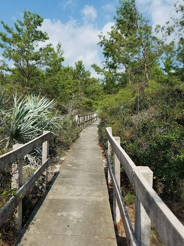 Crystal Lake Sand Pine Scrub - Image 1