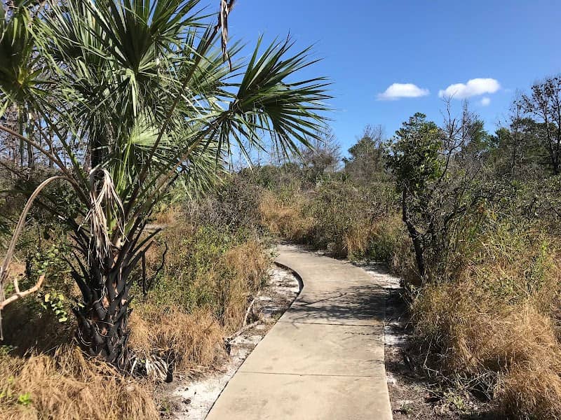 Crystal Lake Sand Pine Scrub - Image 1