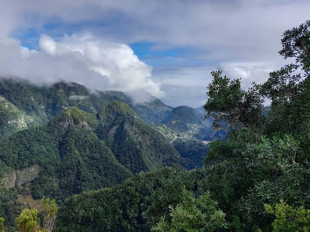 Quinta do Santo da Serra - Image 1