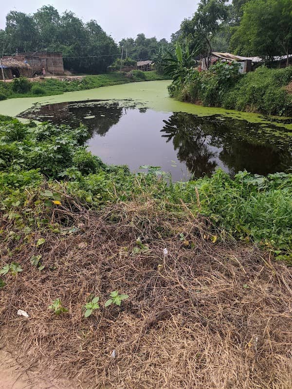 Green and Black river - Image 1