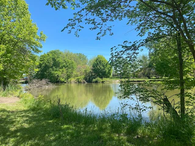Dodge Park - Image 2