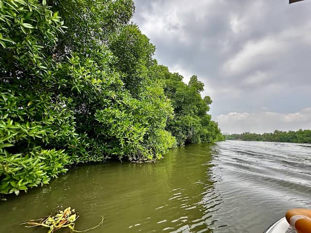 Blue Marine Back Water Spot - Image 1
