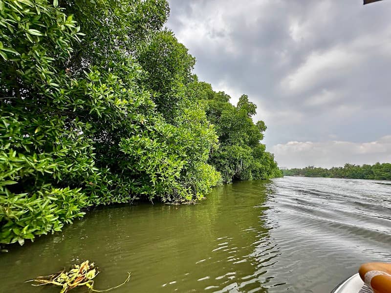Blue Marine Back Water Spot - Image 1
