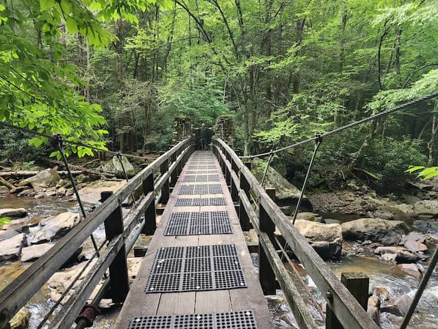 Swinging Bridge - Image 1