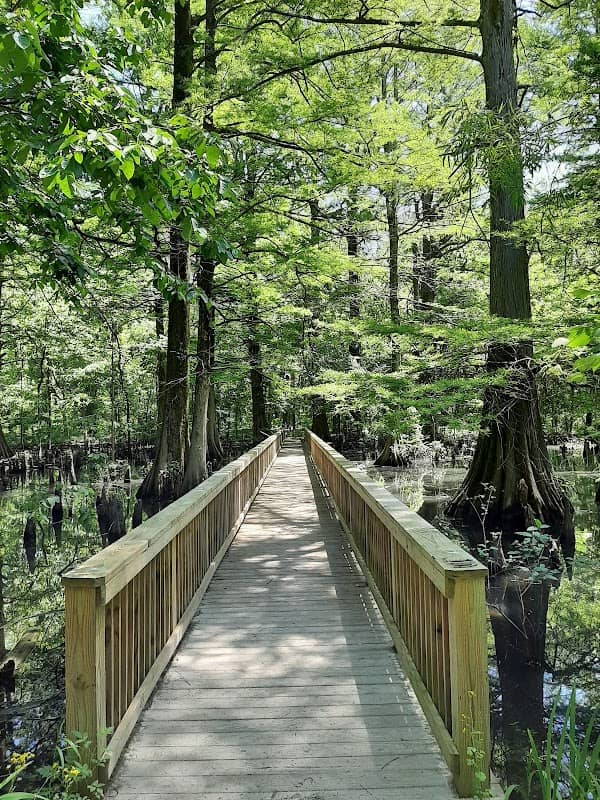 Greenville Cypress Preserve Trust - Image 1