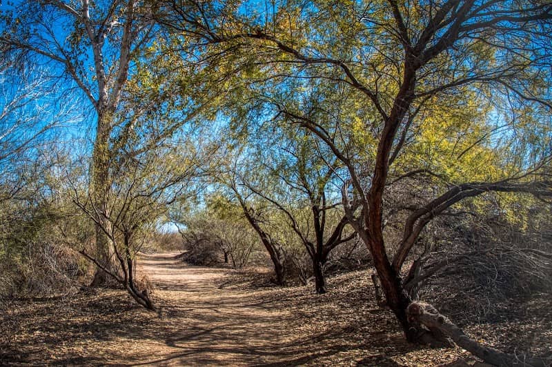 East Wetlands Park - Image 3