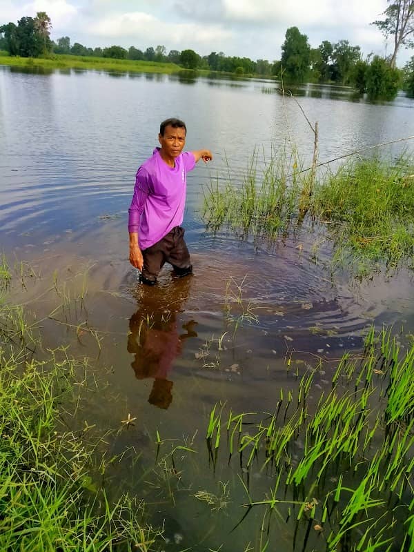 หนองแกงใหญ่ (ต.โนนพะยอม) - Image 1