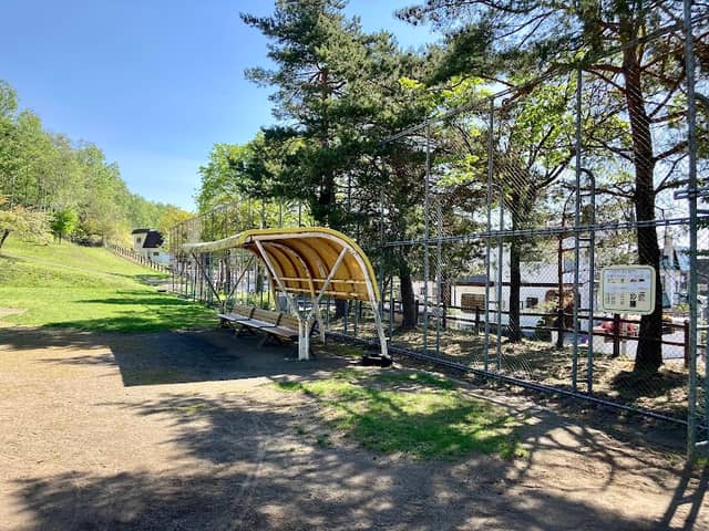 Minamisawa Swan Park - Image 2