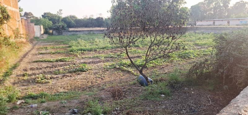 Kaiser Jahan property - Image 1