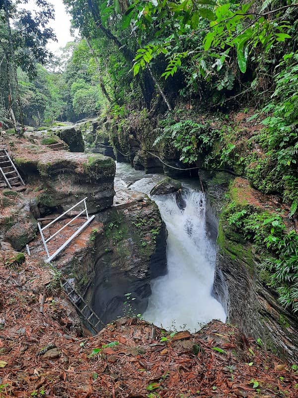 Cascada Cabeza De Lagarto - Image 2