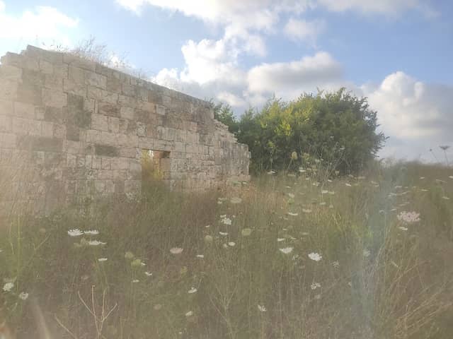 Lady Hester Stanhope palace - Image 2