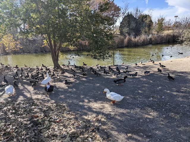 J Kenneth Smith Bird Sanctuary and Nature Center - Image 2