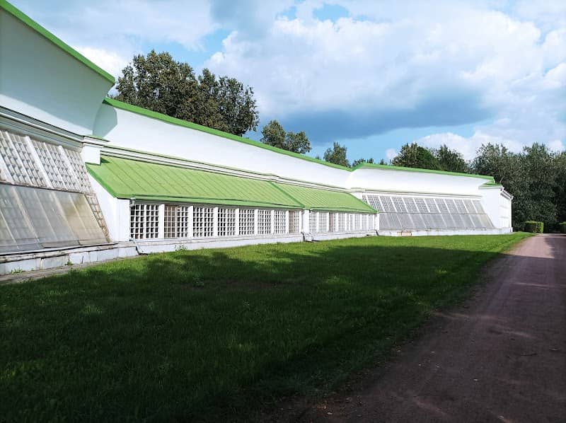 American Orangery - Image 2