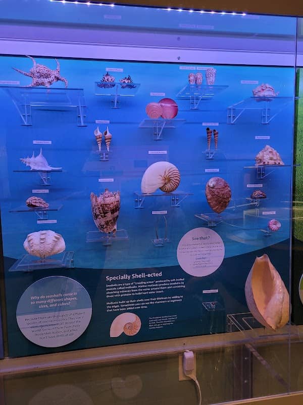 North Carolina Museum of Natural Sciences at Greenville and Contentnea Creek - Image 2