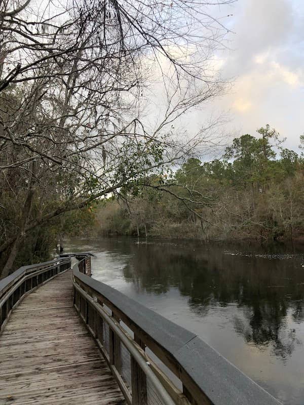 Suwannee River Wilderness State Trail - Image 2