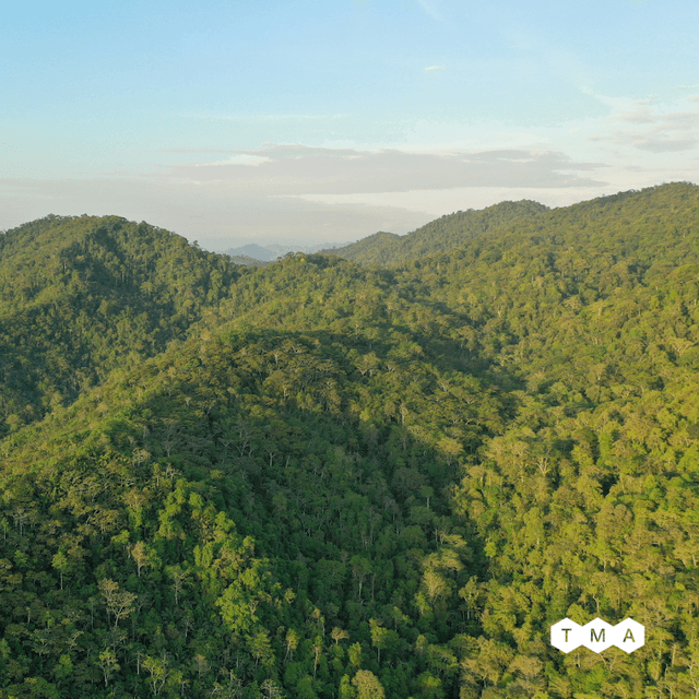 Jama-Coaque Ecological Reserve - Image 1