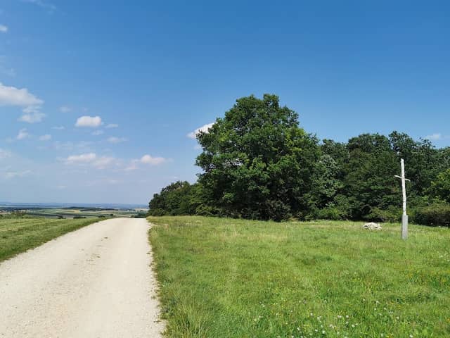 Aussichtspunkt Lindenberg - Image 1