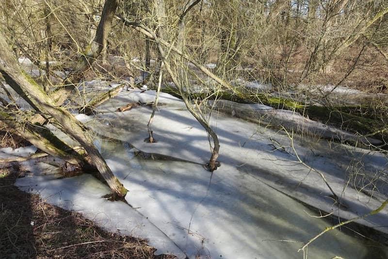 Werra Altarm Nature Reserve - Image 1