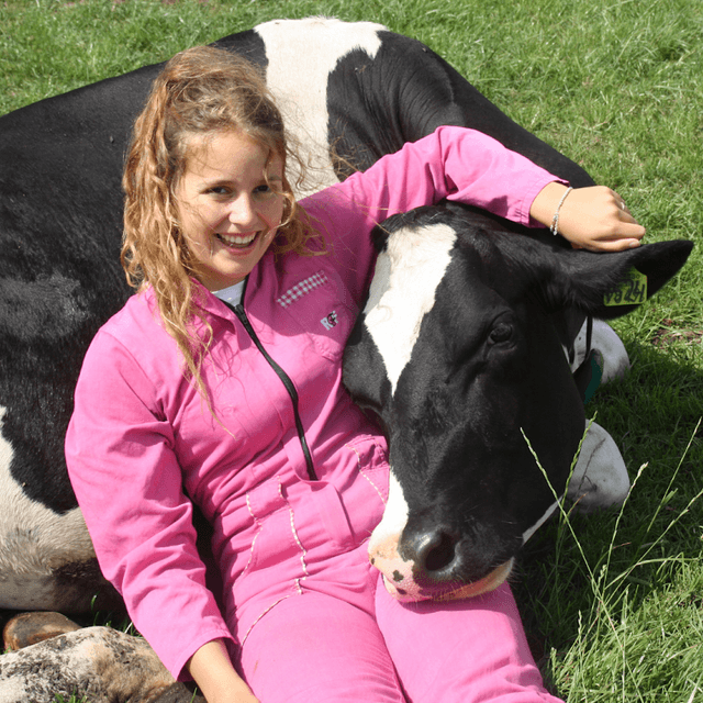 Boerderijrecreatie - Image 2
