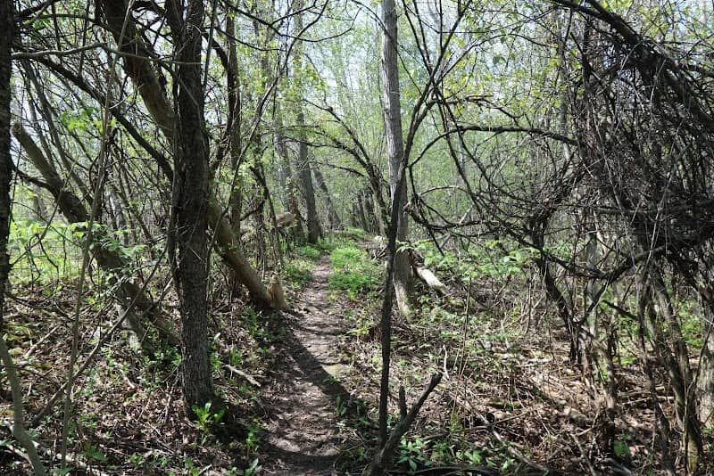Millar Side Trail - Image 2