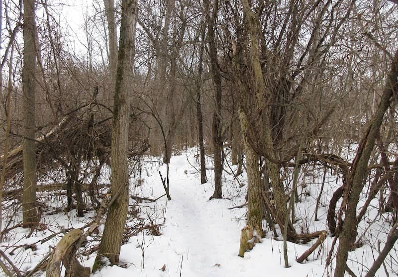 Millar Side Trail - Image 1