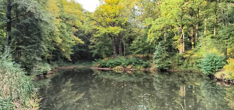 Schloßteich Thürmsdorf Blick - Image 1