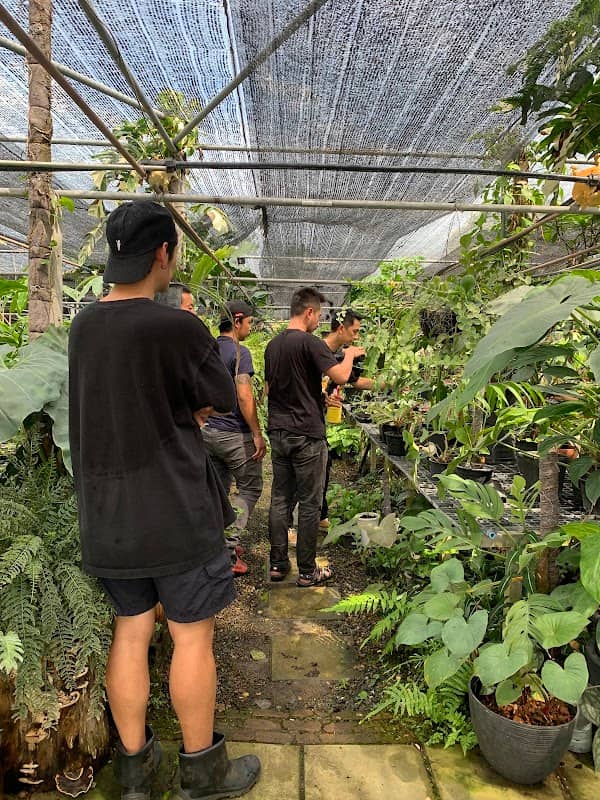About de Plants - Image 1