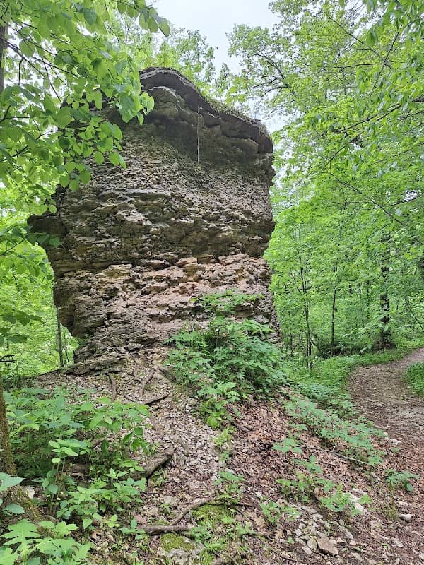 Upper Iowa River Access Area - Image 1