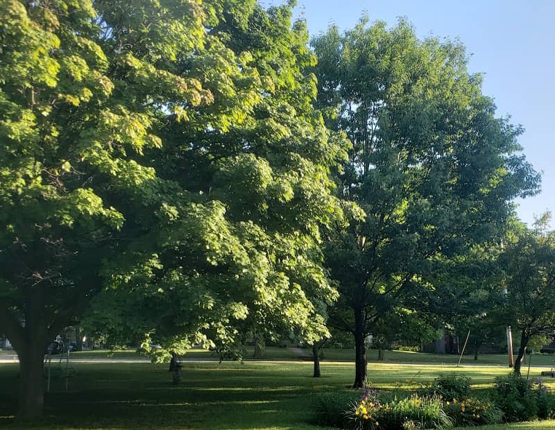 Triangle Park - Image 1