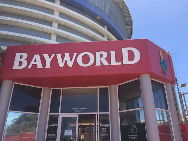 Bayworld - Image 3