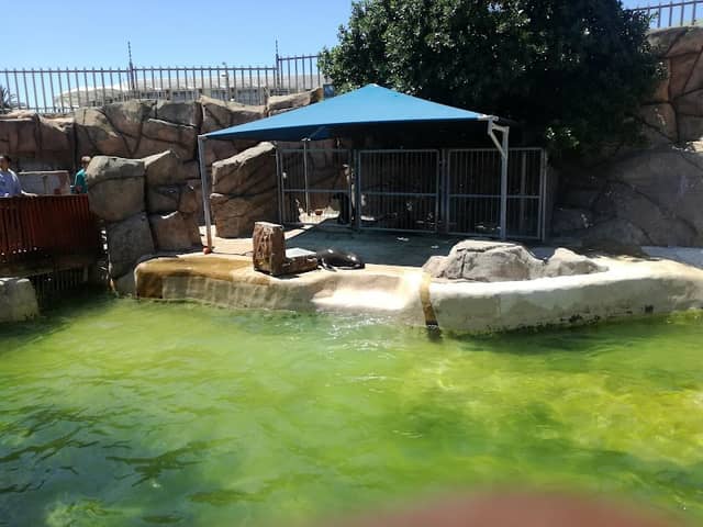 Bayworld - Image 2